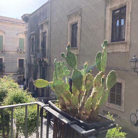 Apartmán Aita Domus CTA Exteriér fotografie