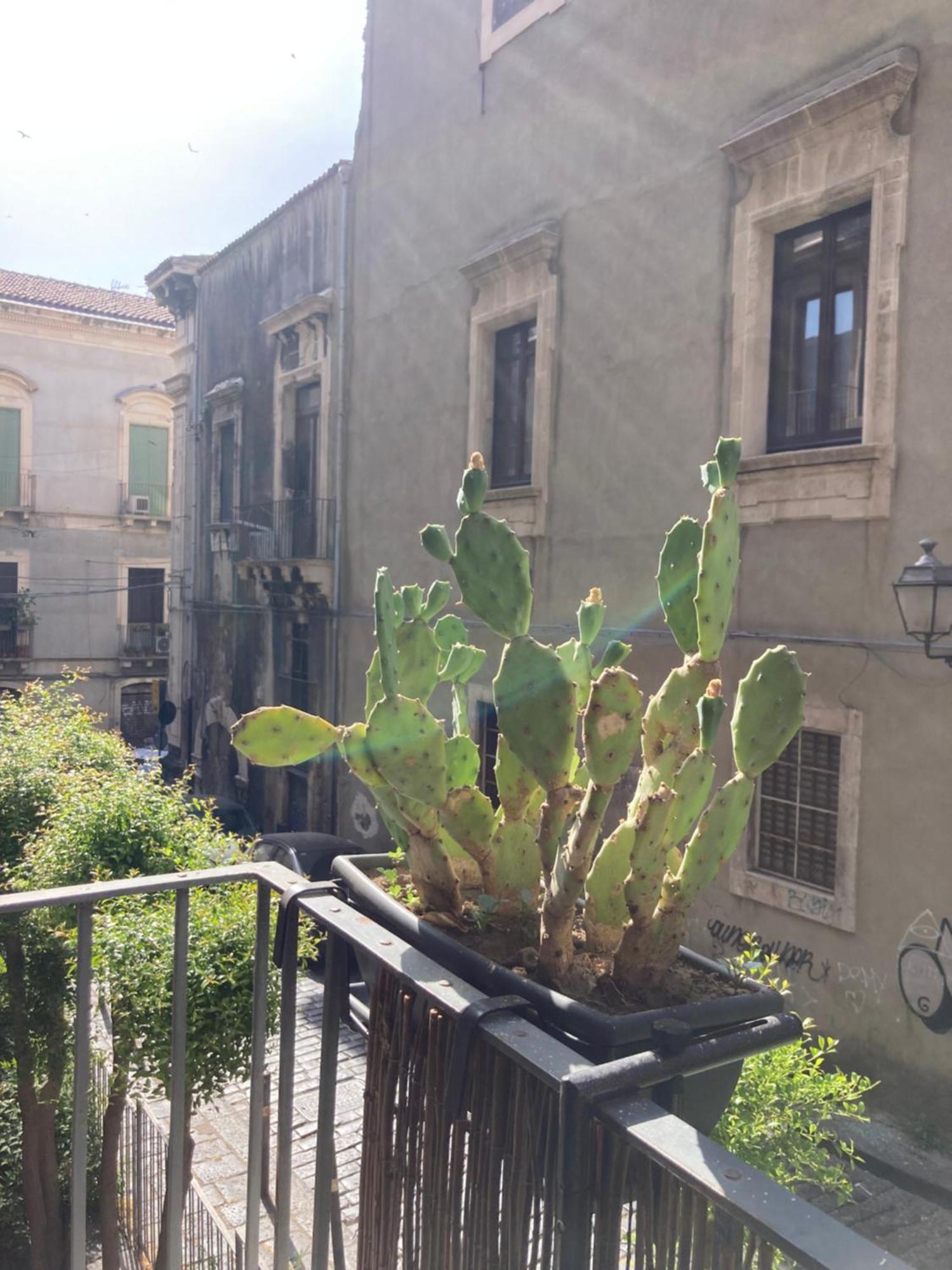 Apartmán Aita Domus CTA Exteriér fotografie